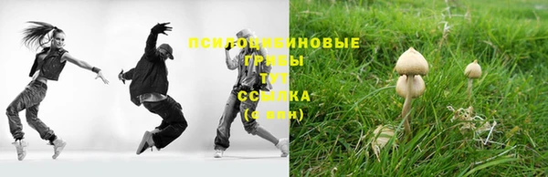 прущие грибы Нея