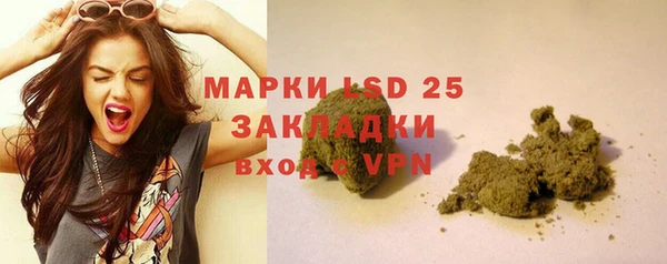 прущие грибы Нея
