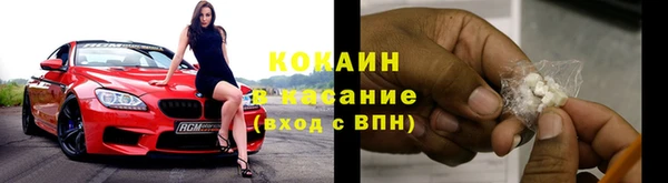 прущие грибы Нея