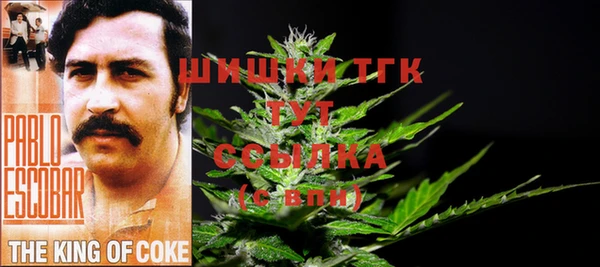 spice Осташков