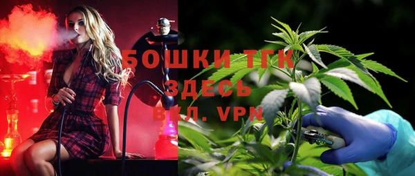 прущие грибы Нея