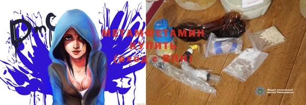 прущие грибы Нея
