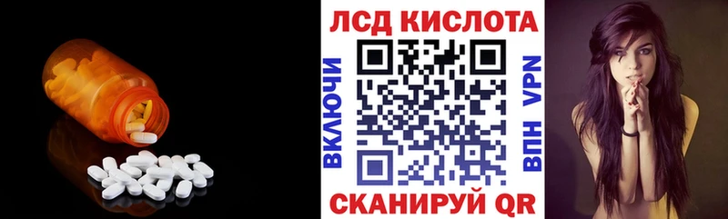 где можно купить наркотик  Скопин  Лсд 25 экстази ecstasy 