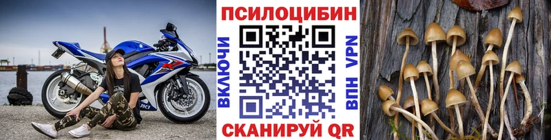 darknet какой сайт  Скопин  Галлюциногенные грибы Magic Shrooms  наркошоп 