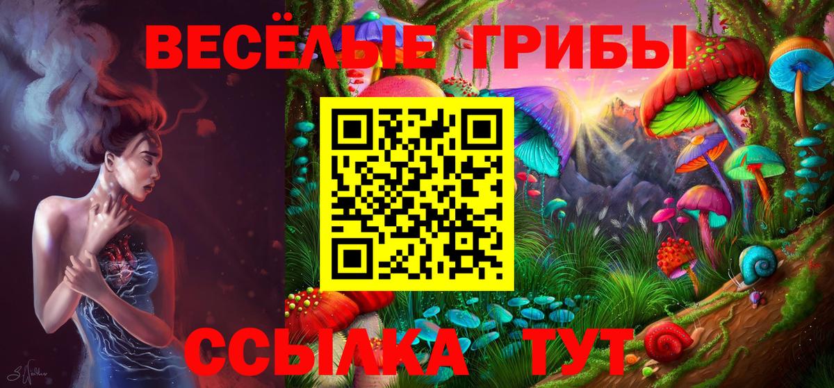 Галлюциногенные грибы Psilocybine cubensis  где можно купить   Скопин 