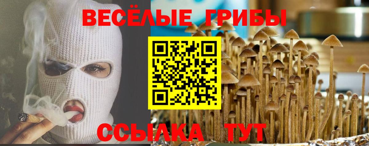 Галлюциногенные грибы GOLDEN TEACHER  купить  цена  Скопин  Вход с VPN  Псилоцибиновые грибы мухоморы 