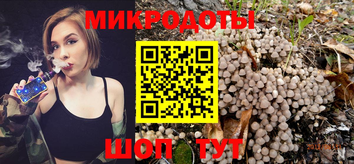 Галлюциногенные грибы прущие грибы Скопин